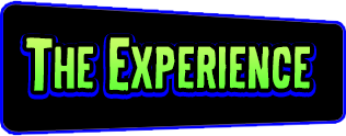 experience